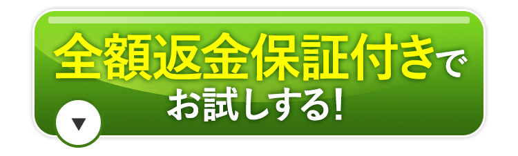 全額返金保証付きでお試しする